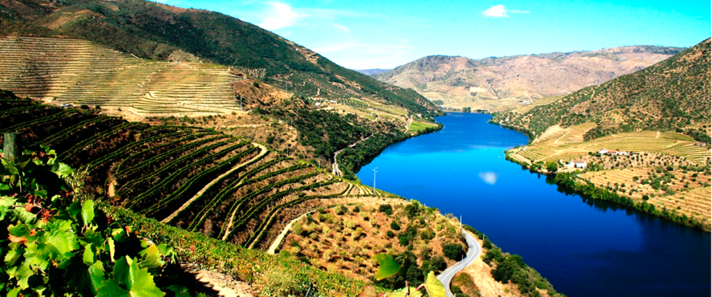 O rio Douro é muito importante para a região