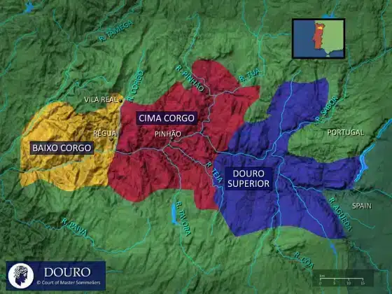 A Região do Douro possui mais de 250 mil hectares de vinhedos. Contudo, essa importante região vitivinícola, está dividida em três sub-regiões que são: o Baixo Corgo, Cima Corgo e Douro Superior.