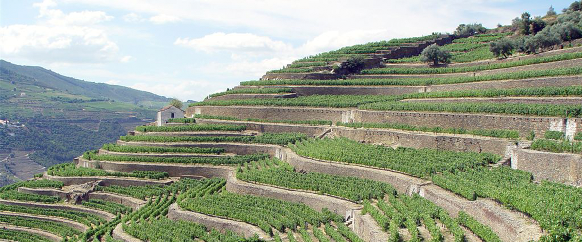 Região vinícola Trás-Os-Montes, Portugal