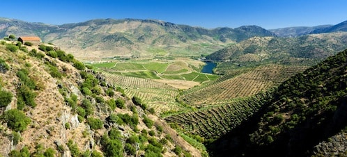 Região vinícola Trás-Os-Montes